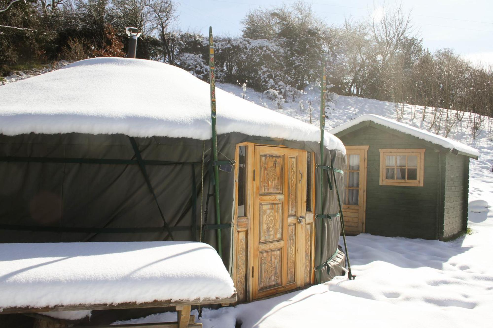 Villa Crazy Pheasant Mold Exterior foto